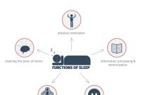 Understanding the Impact of Sleep on Your Health Impact Of Sleep On Physical Health Explained